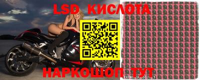 крисы Донской