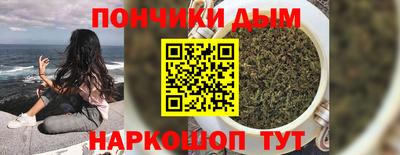 крисы Донской